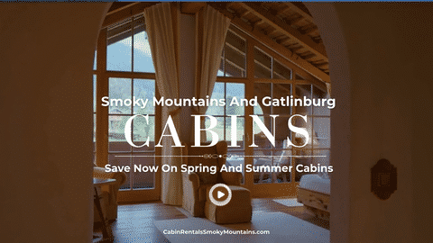 NC Election - Cabins AD 3