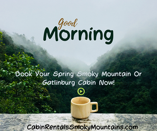 NC Election - Cabins AD